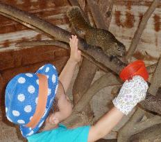 Boy touches squirrel at park in western Japan