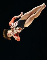 Japan's Murakami in world gymnastics championships