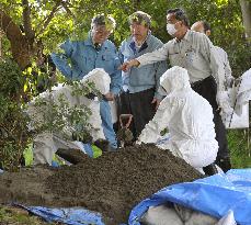 Radioactive soil near Tokyo