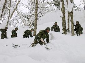 GSDF removes snow along national road in Niigata Pref.