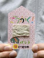 Japan zoo makes lucky charm for exam takers using elephant feces