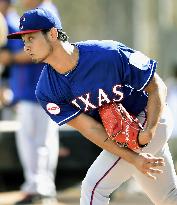 Japanese players in MLB spring training camp