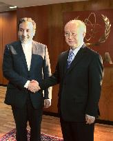 IAEA chief meets Iran's deputy foreign minister in Vienna