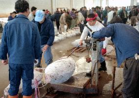 Regional panel proposes 30% cut in yellowfin tuna catch in Pacifi