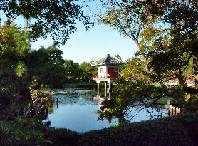 Tokyo snapshot: Pond in Karasuyama "temple town"