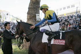 Deep Impact comes in 3rd in Prix de l'Arc de Triomphe