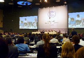 U.N. climate change conference's WG meeting in Bonn