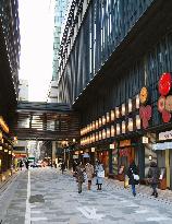 Space between twin Tokyo malls offers traditional Japanese mood