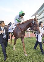 Japanese horse Golden Barows 3rd in UAE Derby race