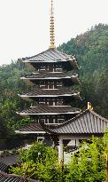 Going once, going twice: your very own pagoda