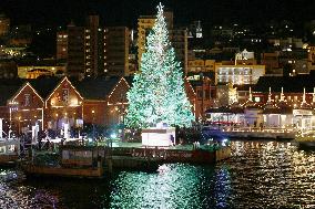 Giant Xmas tree in Hakodate