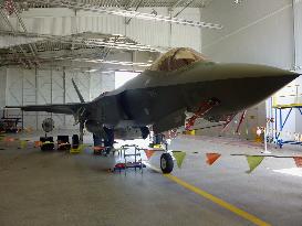 Japan may buy additional F-35 fighter if price fall