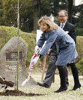 100th anniversary of U.S. dogwood tree donation to Japan