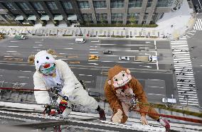 Sheep, monkey, symbols of 2015 and 2016 clean building windows