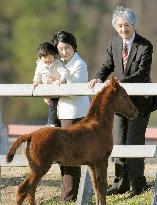 Prince Akishino's family joins emperor at Imperial Stock Farm