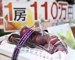 People queue for free tasting of extremely pricey grapes