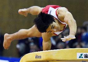 Rio medalist Shirai wins vault