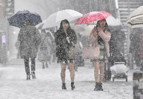 Heavy snow fall hits Tokyo