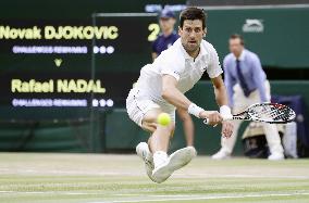 Tennis: Djokovic at Wimbledon