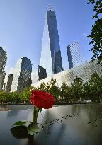 One World Trade Center in New York