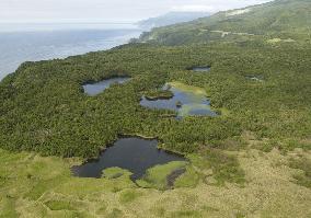 UNESCO registers Shiretoko as natural heritage site