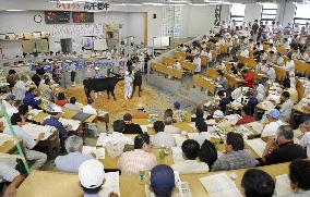 Cow auction resumes in disease-hit Miyazaki