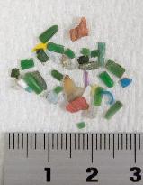 "Microplastics" collected from Tokyo Bay