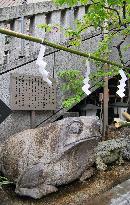 Frogs at Juban Inari Jinja shrine in Tokyo