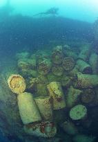 Bombs litter belly of sunken Japanese WWII ship off Palau island