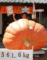 Heaviest pumpkin in Japan