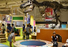 Huge Tyrannosaurus skeleton shown in Tokyo museum's new exhibit room