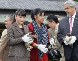 Princess Mako entertains foreign guests at duck preserve