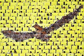 N. Korea marks 70th anniversary