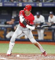 Baseball: Angels v Rays