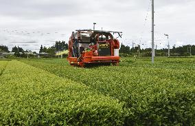 Unmanned tea-picking machine