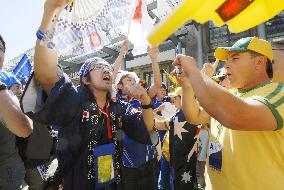 Supporters at 2006 FIFA World Cup games