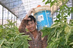 Thai laborer working near Israel's Erez Crossing