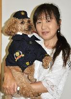 Toy poodle becomes police dog in Yamagata Pref.