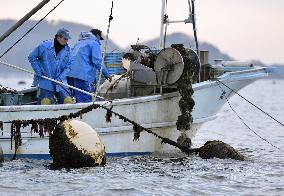 Disaster-hit prefectures see 23% fall in fishing industry workers
