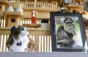 Funeral for stationmaster cat Bus held in Fukushima Pref.