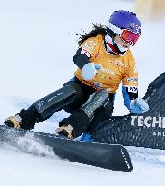 Snowboarding: Takeuchi in World Cup event