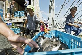 Catfish farm in N. Korea