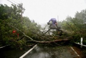 Typhoon moving closer toward Japan's mainland