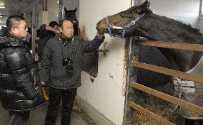 Hokkaido racehorse breeders turn to Chinese market
