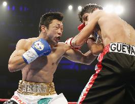 Mexican Guevara wins WBC light flyweight title