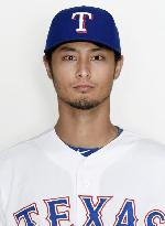 Darvish throwing without pain