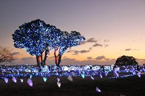 Tourist attraction lights up to welcome Year of Sheep