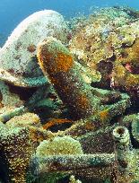 Bombshell on deck of Japan's WWII transport ship off Palau island