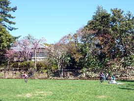 Garden of Tekigaiso in Tokyo partially opened to public