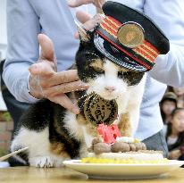 Cat stationmaster Tama, superstar in western Japan, dies